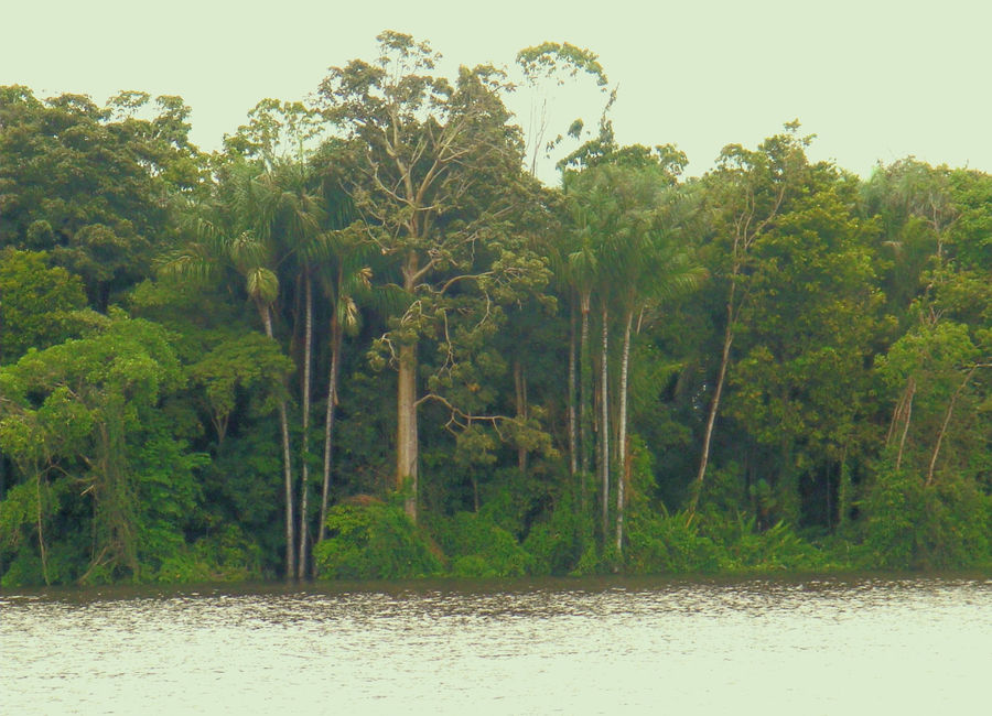 Gestão territorial e plano de manejo para quatro APAs no Tocantins